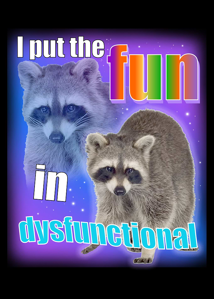 Funny Raccoon Dysfunctional Meme Graphic