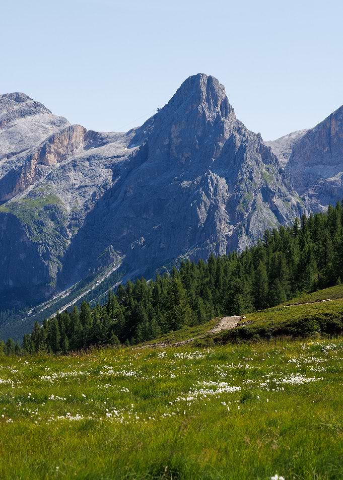 Dolomites Mountain Meadow Landscape - Italy
