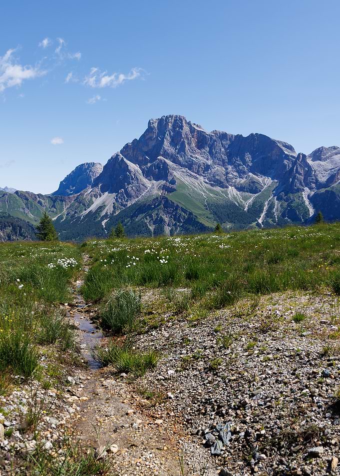 Alpine Meadow and Mountain Peak - Italy