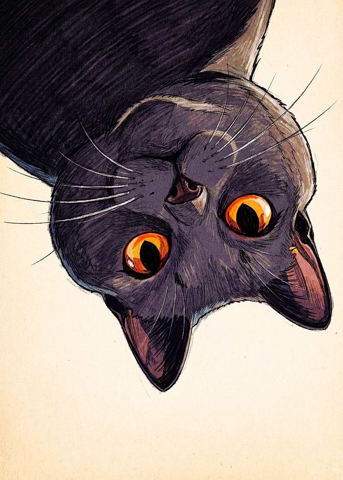 Upside Down Black Cat Illustration