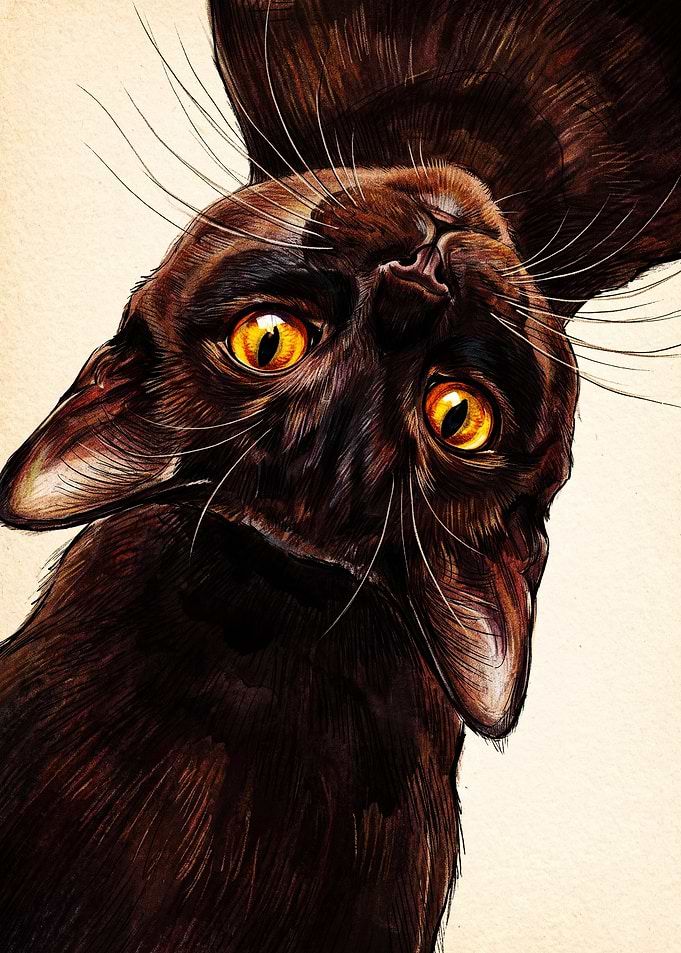 Close-up Portrait of a Black Cat
