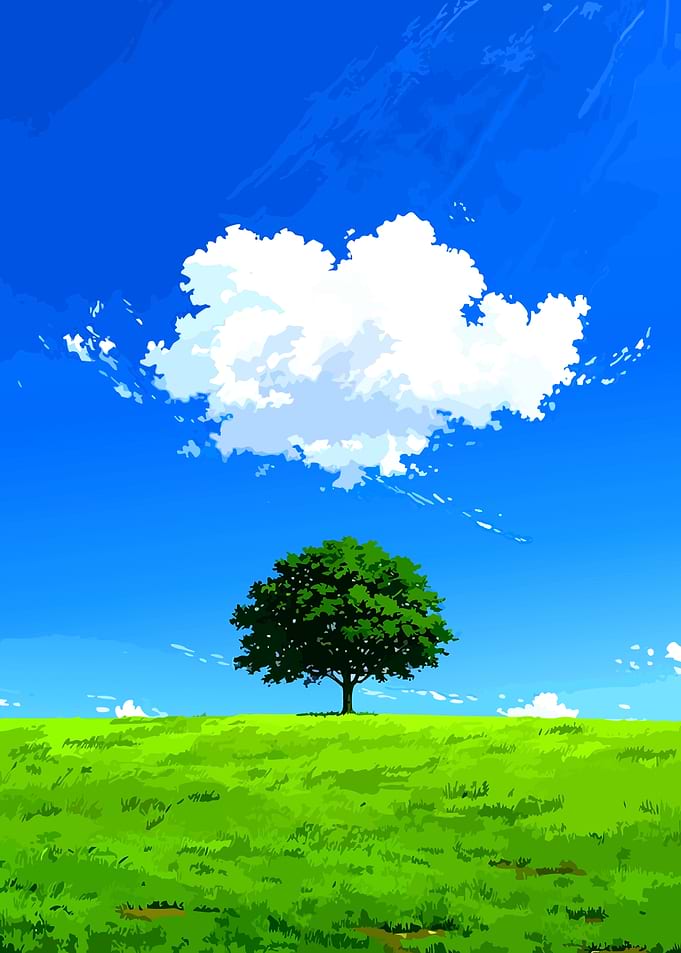 Lone Tree Under Summer Sky