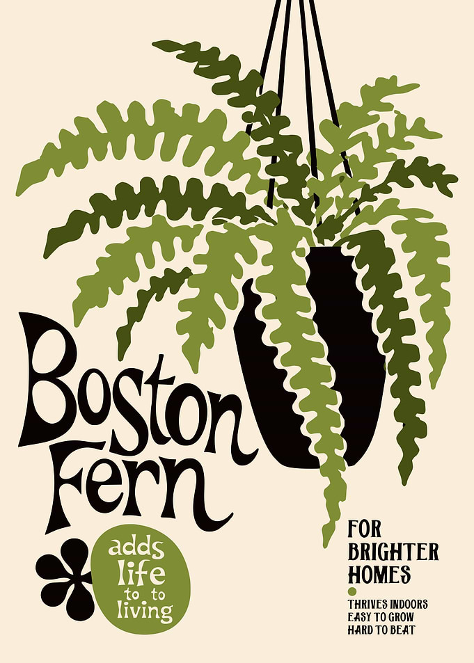 Vintage Style Boston Fern Poster