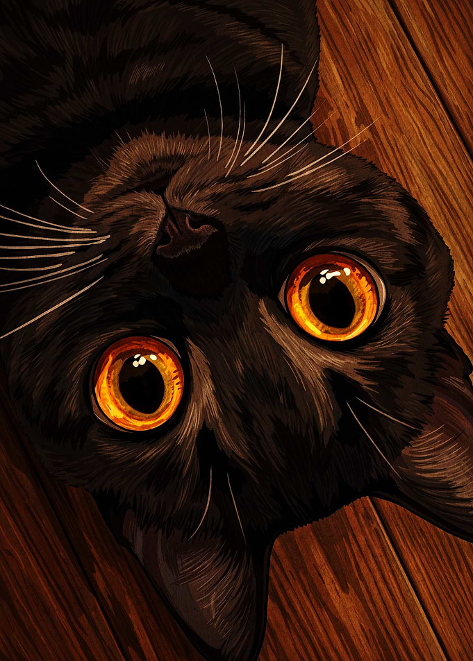 Close-up Portrait of Black Cat