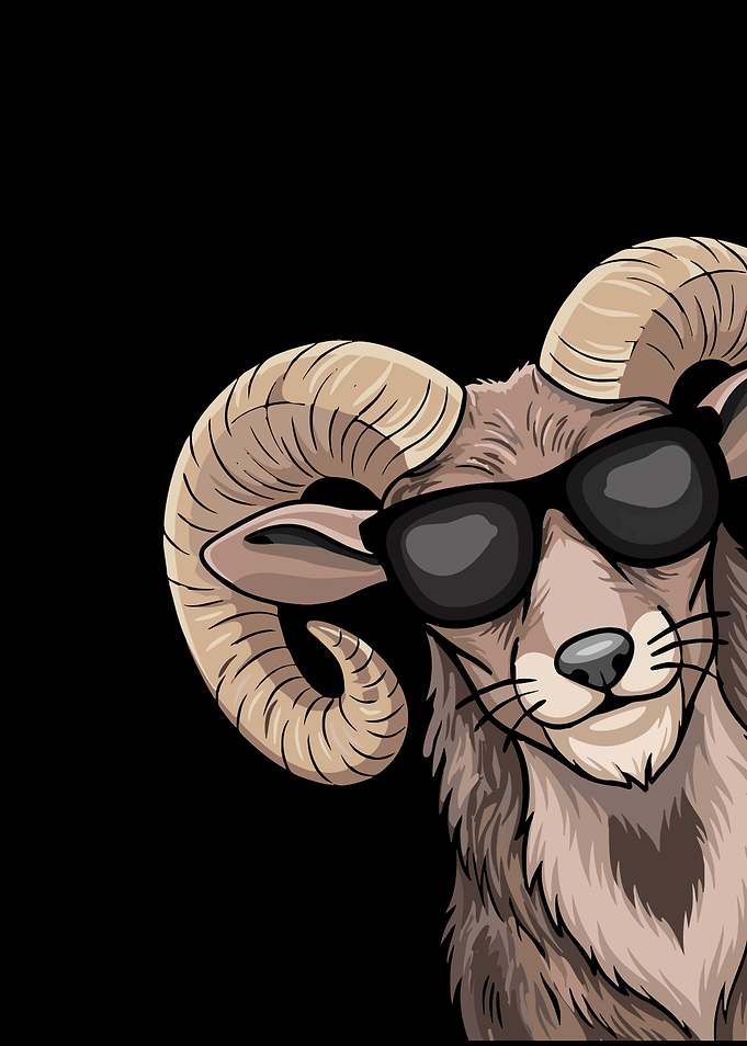 Bighorn Sheep Wearing Sunglasses Ram