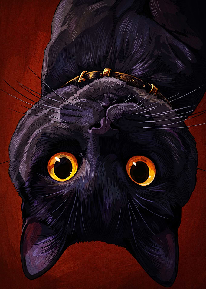 Upside Down Black Cat Portrait