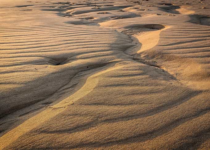 Golden Sand Ripples at Sunset