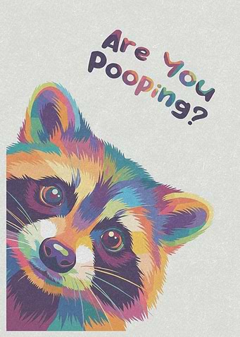 Colorful Pop Art Raccoon Bathroom Sign