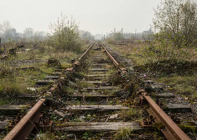 Abandoned Railway Tracks in Nature