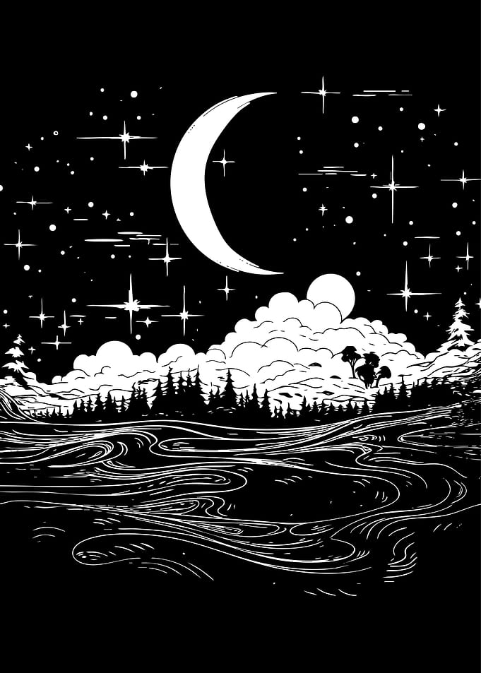 Black and White Night Landscape