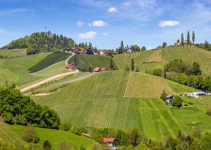 Rolling Vineyards in Styria Austria