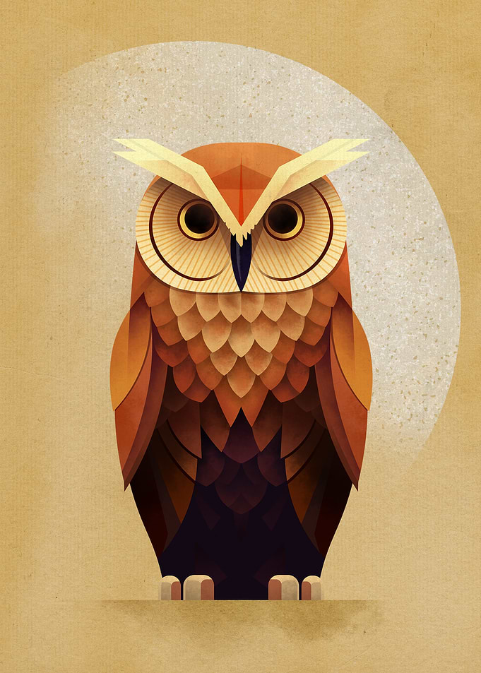 Geometric Stylized Owl Illustration