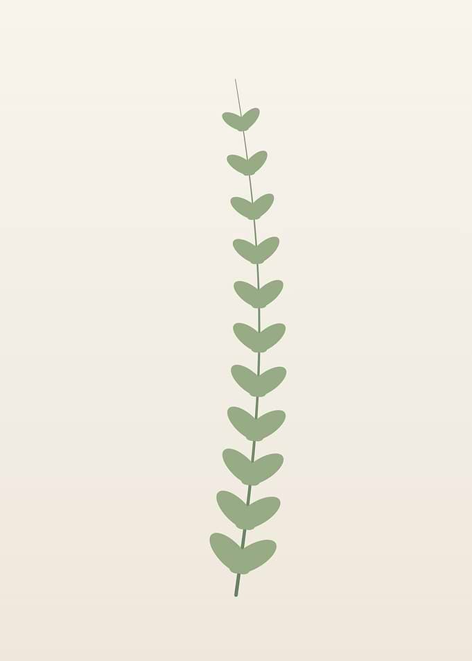 Eucalyptus Branch - Minimalist Sage Green Botanical Wall Art