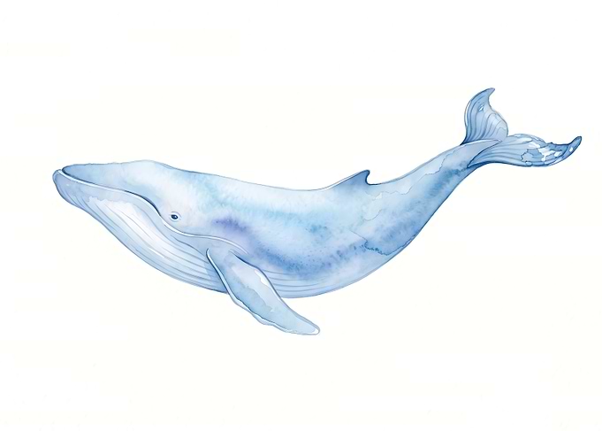 Watercolor Blue Whale Illustration