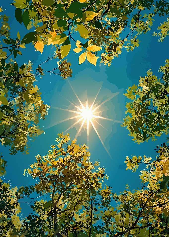 Sunlight Filtering Through Autumn Trees