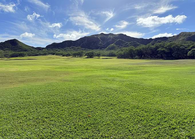 Diamond Head Crater Meadow | Oahu, Hawaii