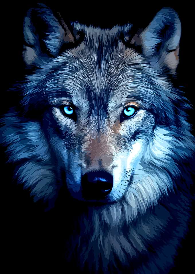 Intense Blue-Eyed Wolf Portrait