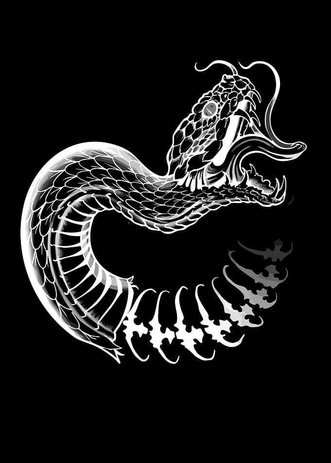 Stylized Black and White Snake Illustration