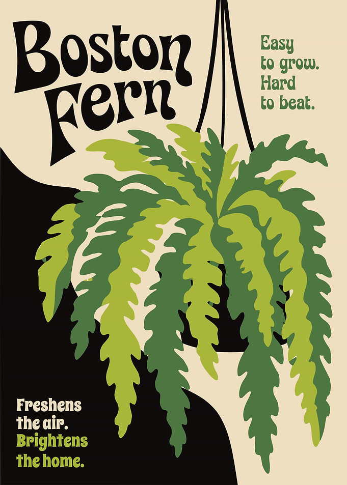 Boston Fern Retro Botanical Poster