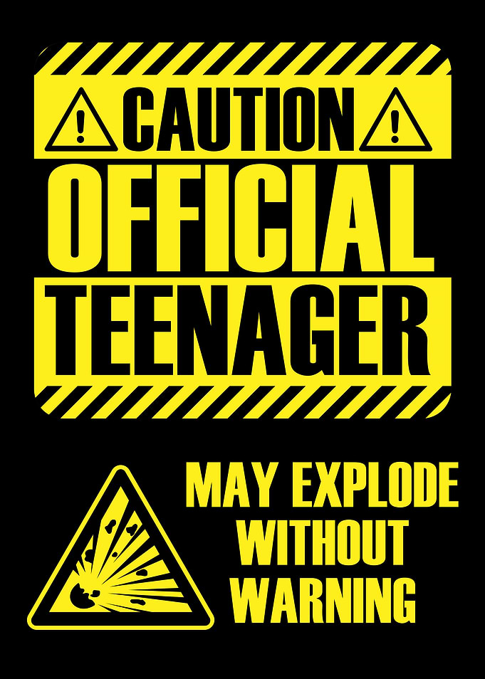 Official Teenager Caution Warning Sign