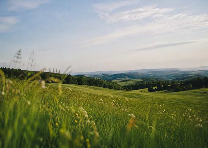 Rolling Green Hills Landscape