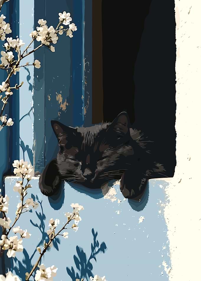 Sleeping Black Cat in Window