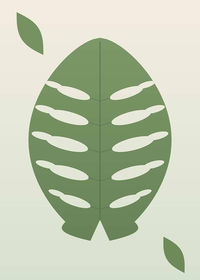 Monstera Leaf - Minimalist Sage Green Botanical Wall Art