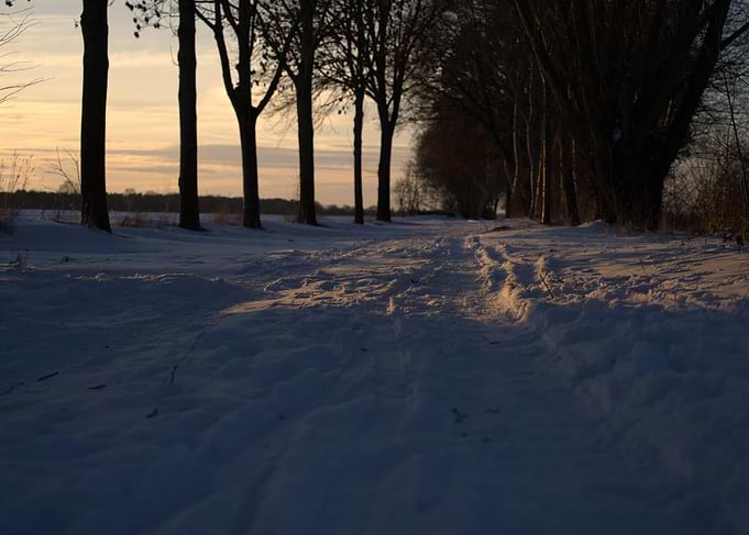 Snowy Path at Sunset