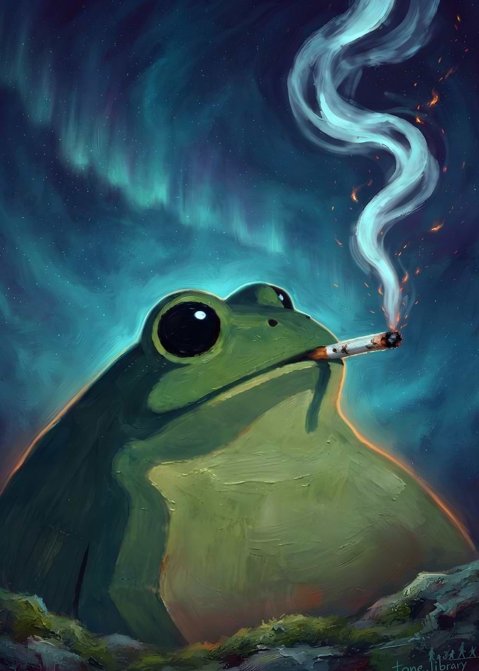 Frog Smoking Under Northern Lights