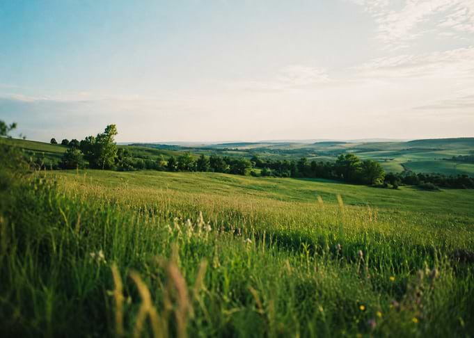 Rolling Green Hills at Sunset
