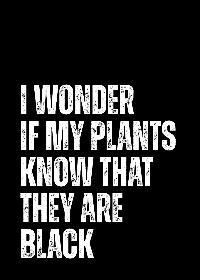 I Wonder If My Plants Know