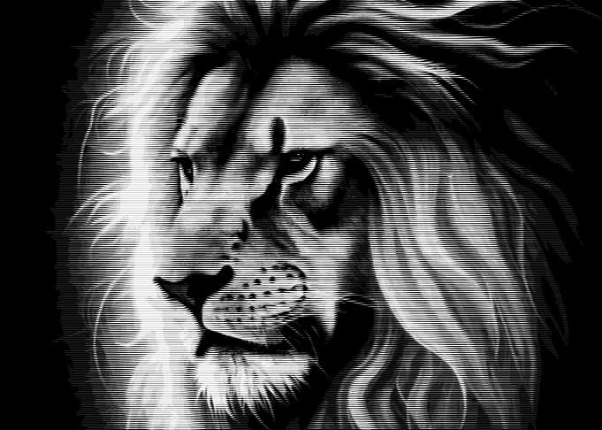 Striking Black and White Lion Portrait