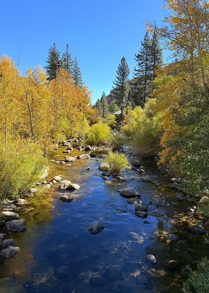 Golden Autumn River | Hope Valley Sierra Nevada