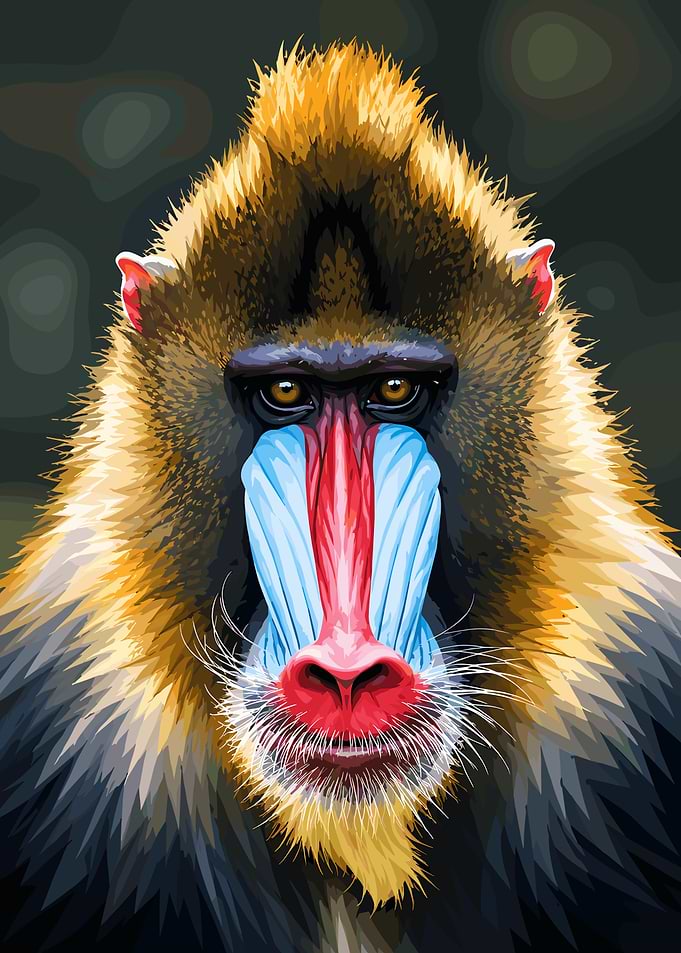 Vibrant Mandrill Portrait Illustration