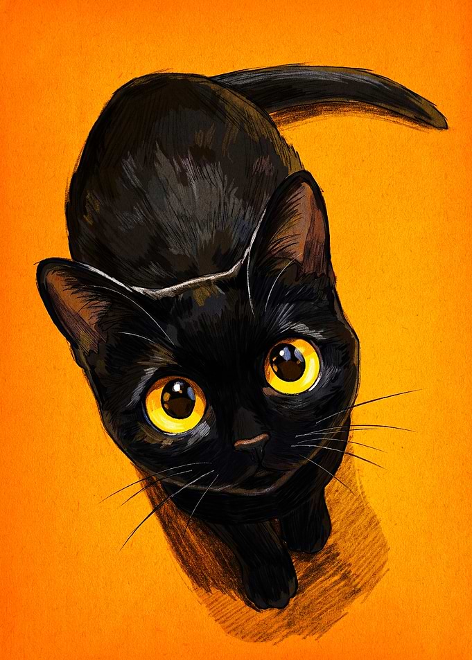 Cute Black Cat with Yellow Eyes