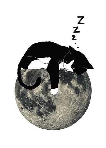 Black and White Cat Sleeping on Moon