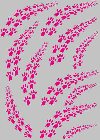 Animal Paw Print Pattern