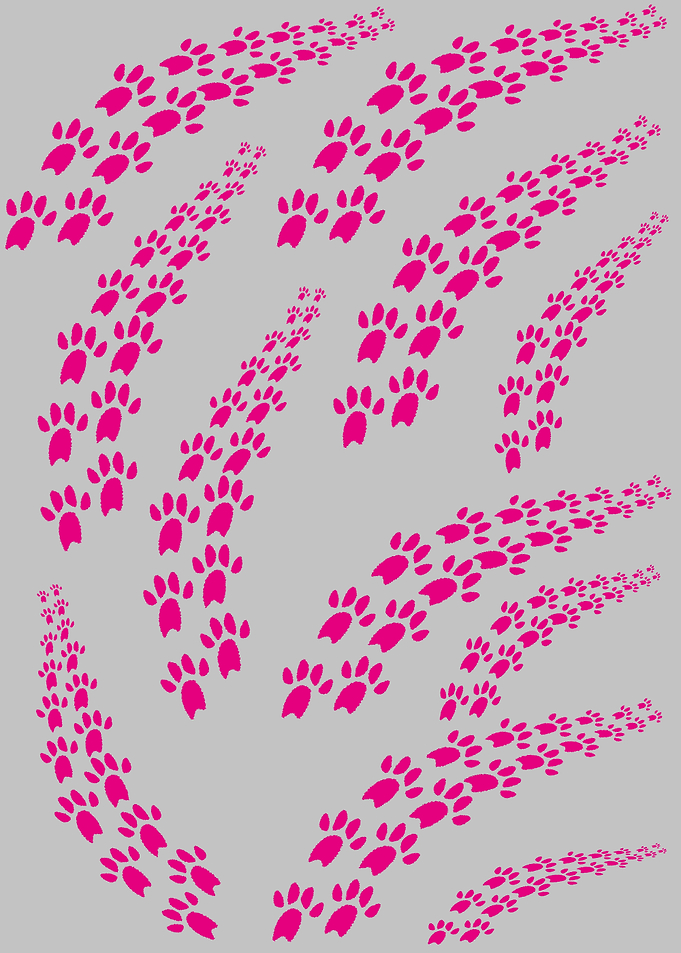 Animal Paw Print Pattern
