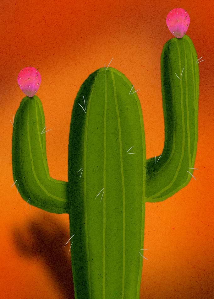 Minimalist Saguaro Cactus Illustration