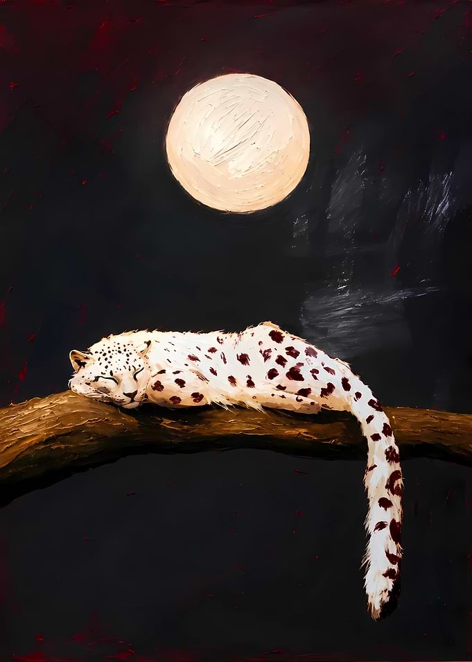 Snow Leopard Sleeping Under Full Moon