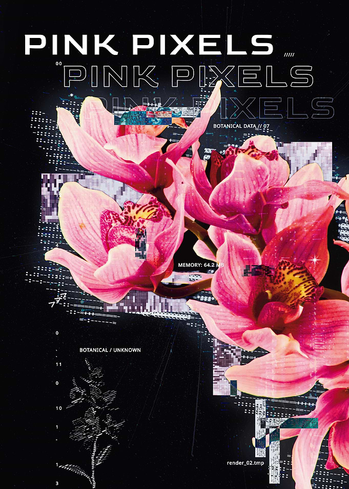 Pink Pixels