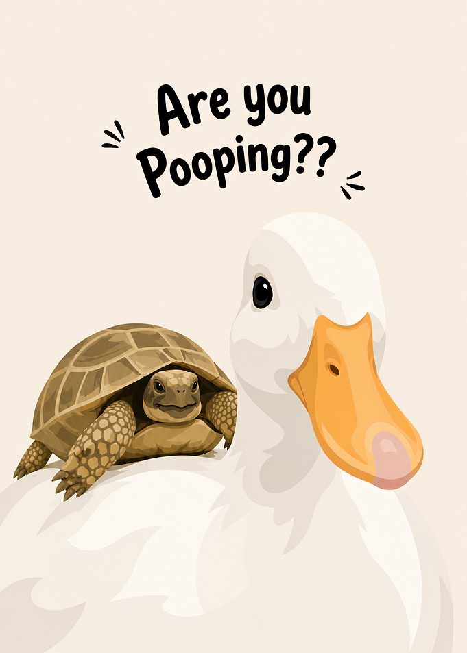 Funny Duck and Turtle Illustration