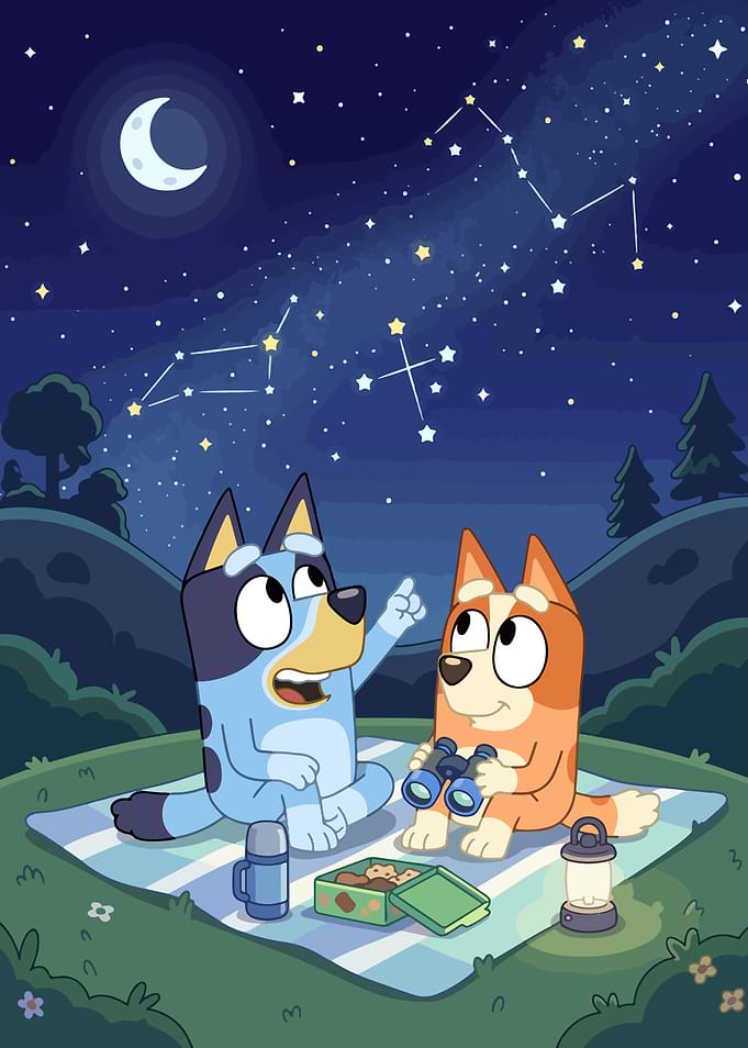 Bluey and Bingo Stargazing