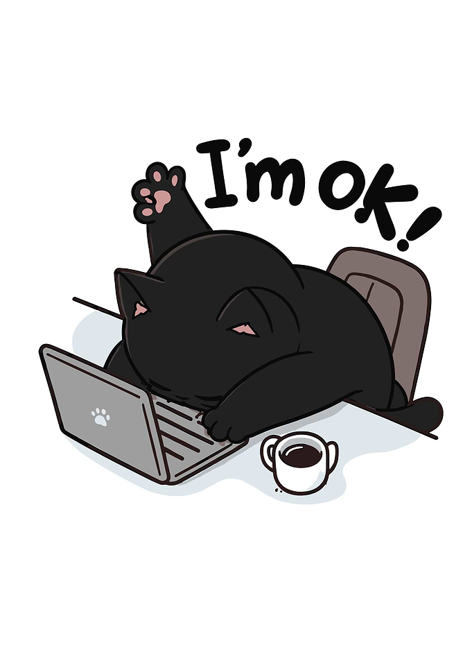 Cute Black Cat Working on Laptop