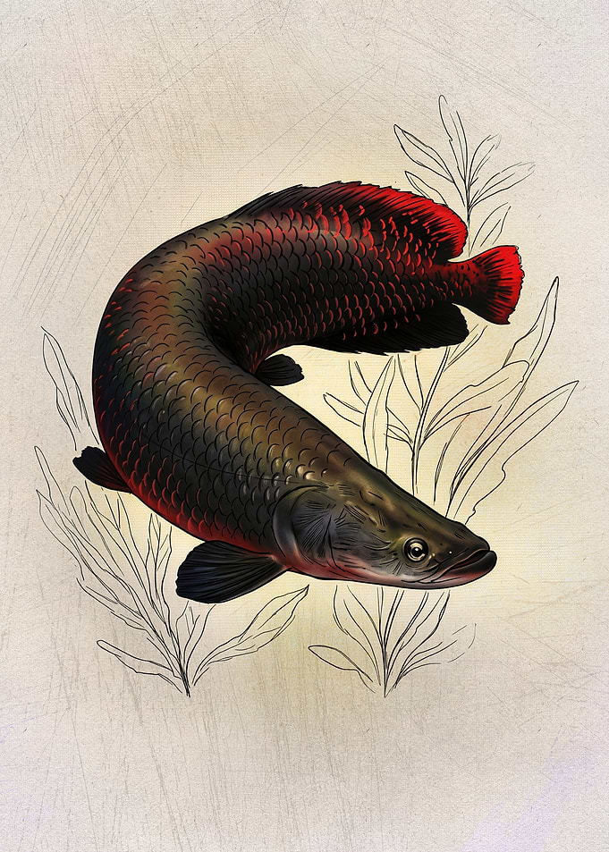 Artistic Illustration of an Arowana Fish