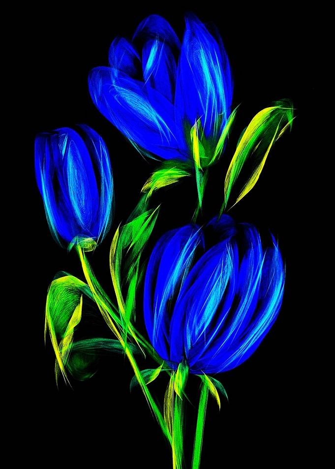 Neon Blue Tulips on Black