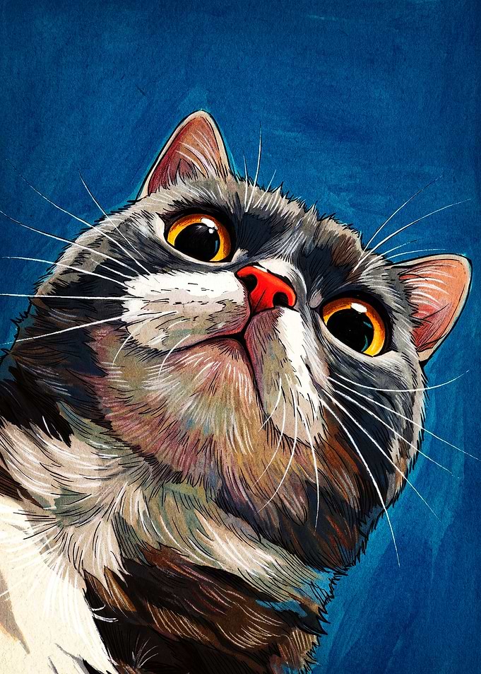 Close-up Portrait of a Curious Cat