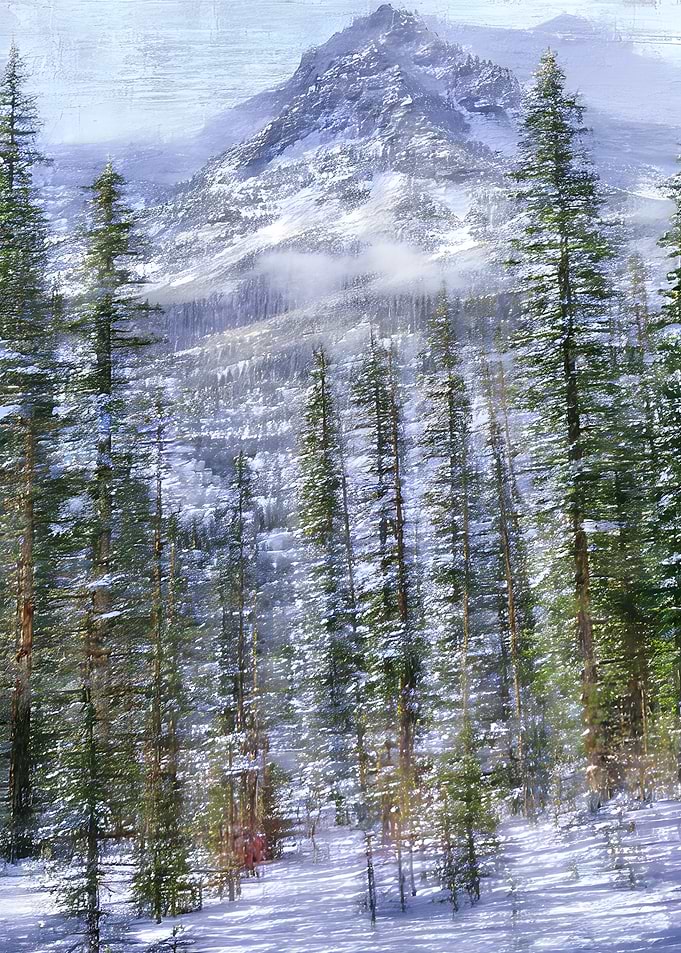 Snowy Mountain Forest Landscape
