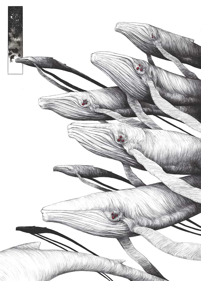 Surreal Ink Drawing of Whales
