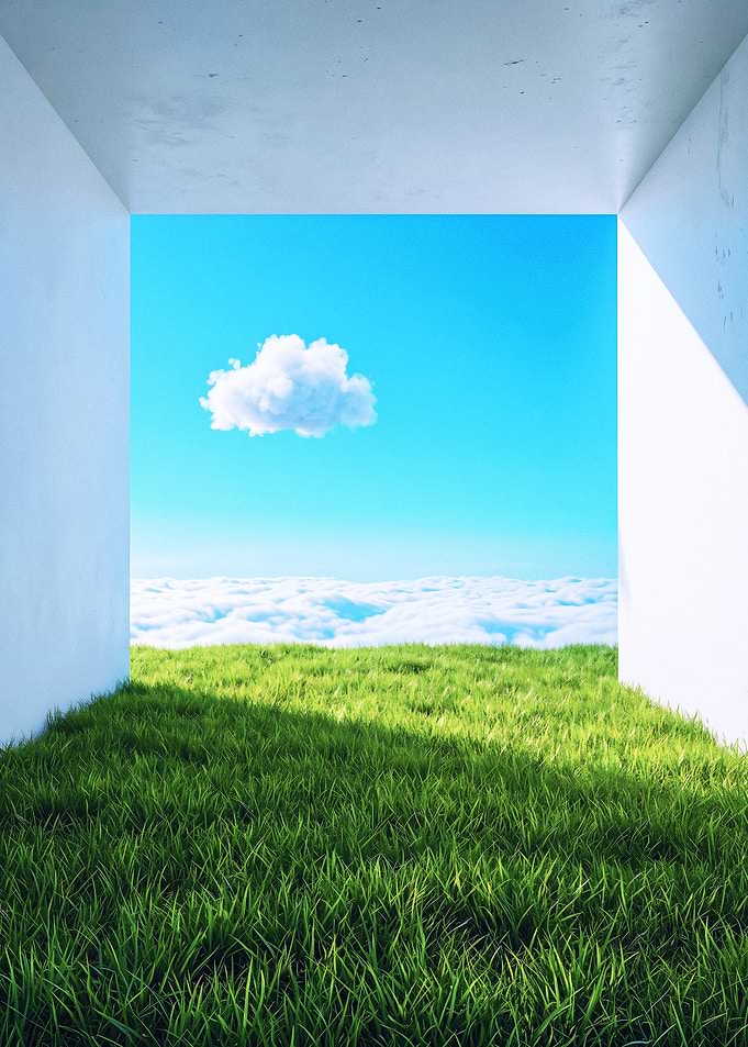 Surreal Grass Field in White Frame